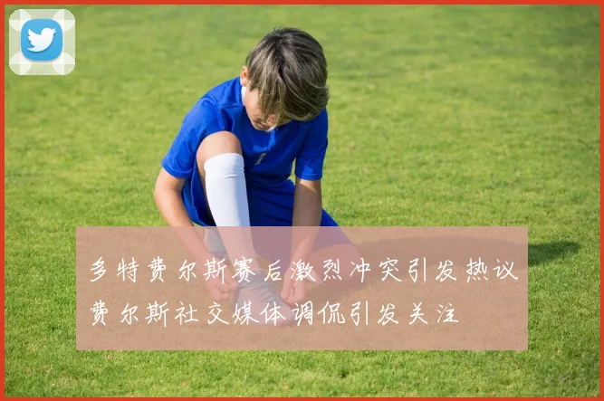 多特费尔斯赛后激烈冲突引发热议费尔斯社交媒体调侃引发关注
